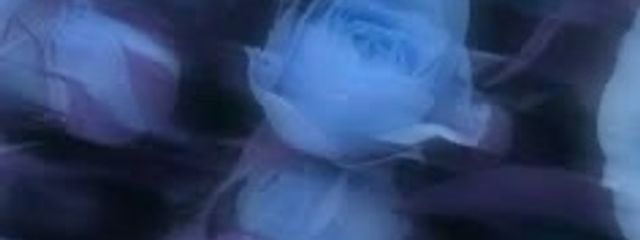  露草ㄘｬン❕さんの壁紙画像