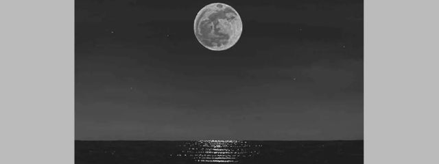 性欲さんの壁紙画像