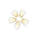 音瀬 檸檬さんのアイコン画像