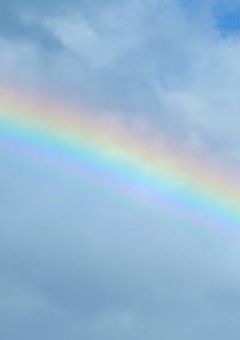 Snow病院の問題児