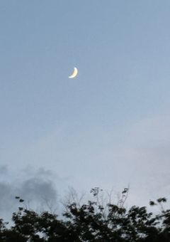 めぐ