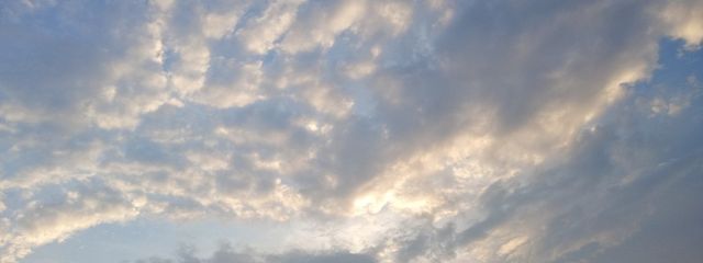 すずさんの壁紙画像