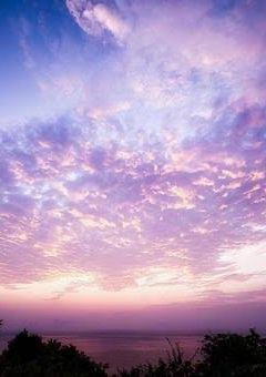 学園 の 王子様 に 好かれた !? 【 WT 】