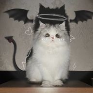 #_桜妷:No.0さんのアイコン画像