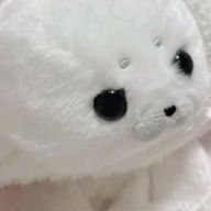 nyanさんのアイコン画像