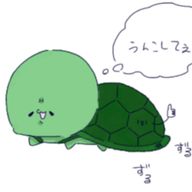かめ太郎さんのアイコン画像