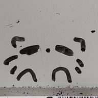 Violetさんのアイコン画像