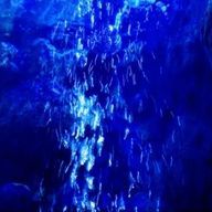 らいとにんぐさんのアイコン画像