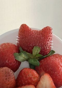 赤色王子はオキニに‪激甘です
