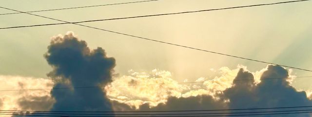 ずーちさんの壁紙画像