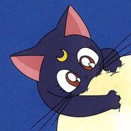 りさんのアイコン画像