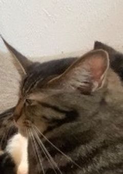 べんきょう 、、