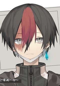 ヒロアカ轟家夢主