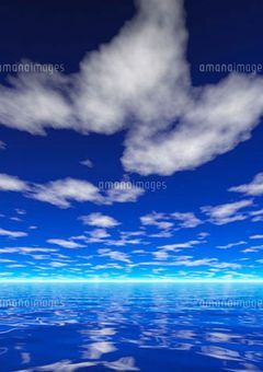 空の鷹と海の海月