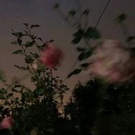 ㅇㄴさんのアイコン画像