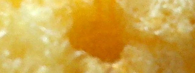 味噌は麻薬さんの壁紙画像