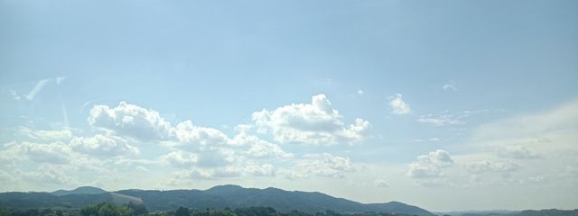 小鳥遊 音夢さんの壁紙画像