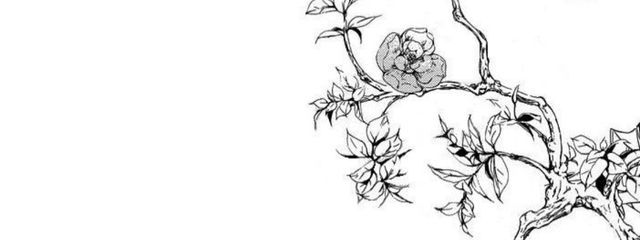 　貴彦権三郎　さんの壁紙画像