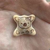 おすし14世🐶🐰さんのアイコン画像