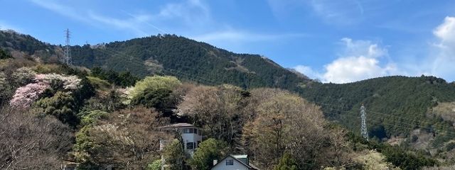日団さんの壁紙画像