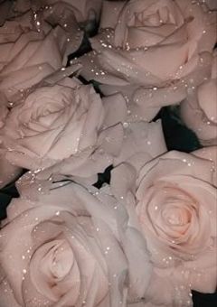 　✧　運命を上書きして