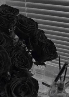 　✧　病ンぢゃう真之姫　