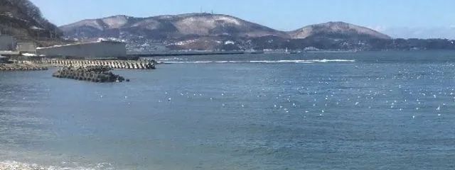 晴菜(犬が大好きな人)さんの壁紙画像