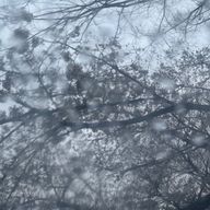 Astraeaさんのアイコン画像