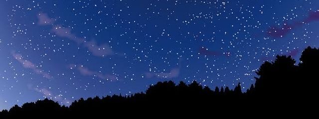 紫苑さんの壁紙画像