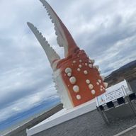 そよ風さんのアイコン画像