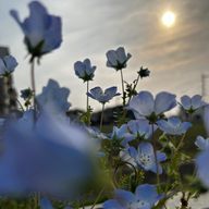 NOZOMIさんのアイコン画像