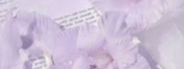 華月有栖　@お知らせさんの壁紙画像