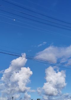 唯一無二の幼なじみ