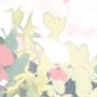 しょうゆのかけすぎ .さんのアイコン画像