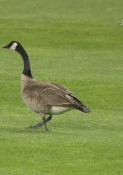 ファイターズ以外のBL短編集