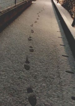 異能と雪の結晶【⛄️×異能力】