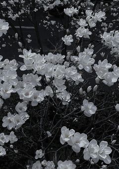 雪男がわちゃわちゃしているだけ（‪⛄️‪短編集）