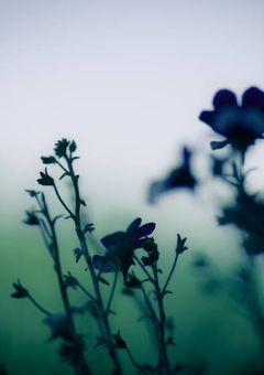 鬱ゲー・鬱アニメ語り