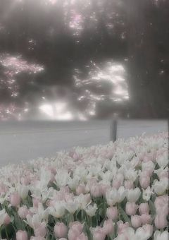 オリキャラ短編集