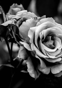 【⛄️🦐】モブレ集