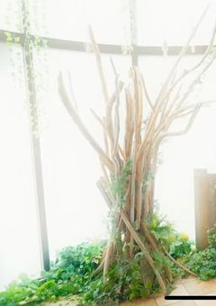 愛語りとか愛語りの返信をしちゃうゾ！