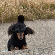 izumiさんのアイコン画像