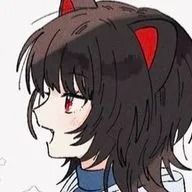 　　　　˚₊·🐬 ᯓさんのアイコン画像