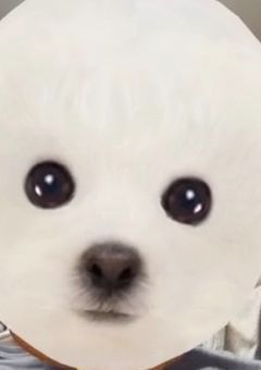 参加型設定資料