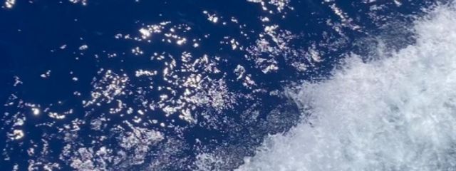 チェイナさんの壁紙画像