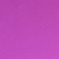 フールミ  🍁🐼さんのアイコン画像