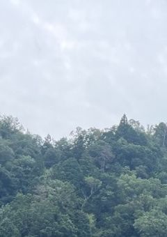 ぴ