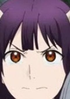 おごふじの小説