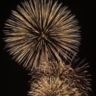 限界オタク🐳🩴さんのアイコン画像