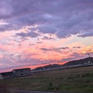 お餅さんのアイコン画像